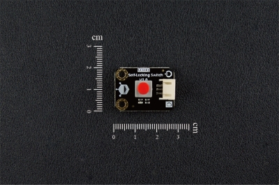 Digital Self-Locking Switch